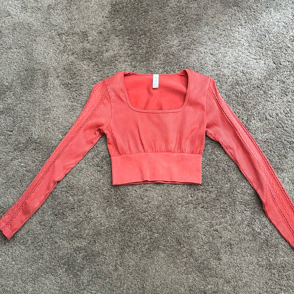 Aerie Offline Big Chill Seamless Long Sleeve T-Shirt Crop Top